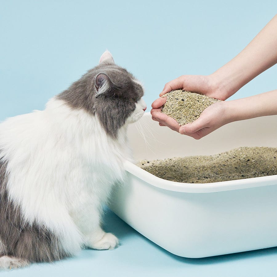 ペスルーム トイレ用品 ダストフリーベントナイトコーテッドファイン 鉱物タイプ