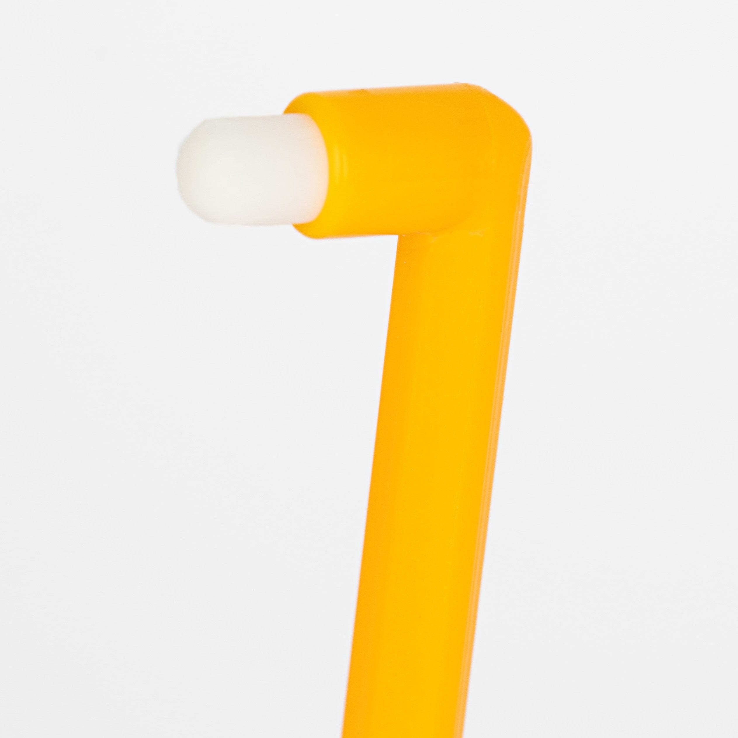 ペスルーム バス用品 パーフェクトデンタルケアセット (5個入り)