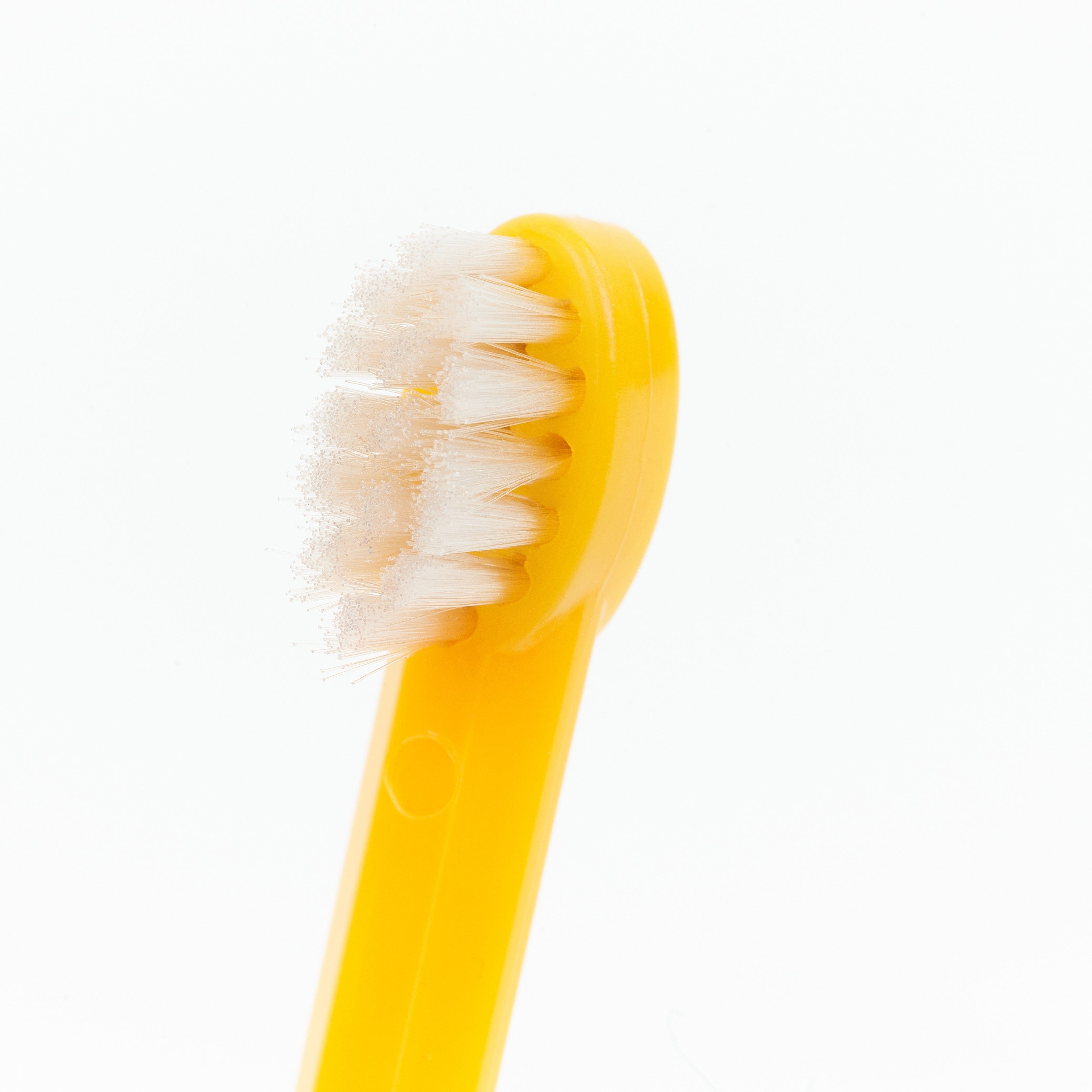 ペスルーム バス用品 パーフェクトデンタルケアセット (5個入り)