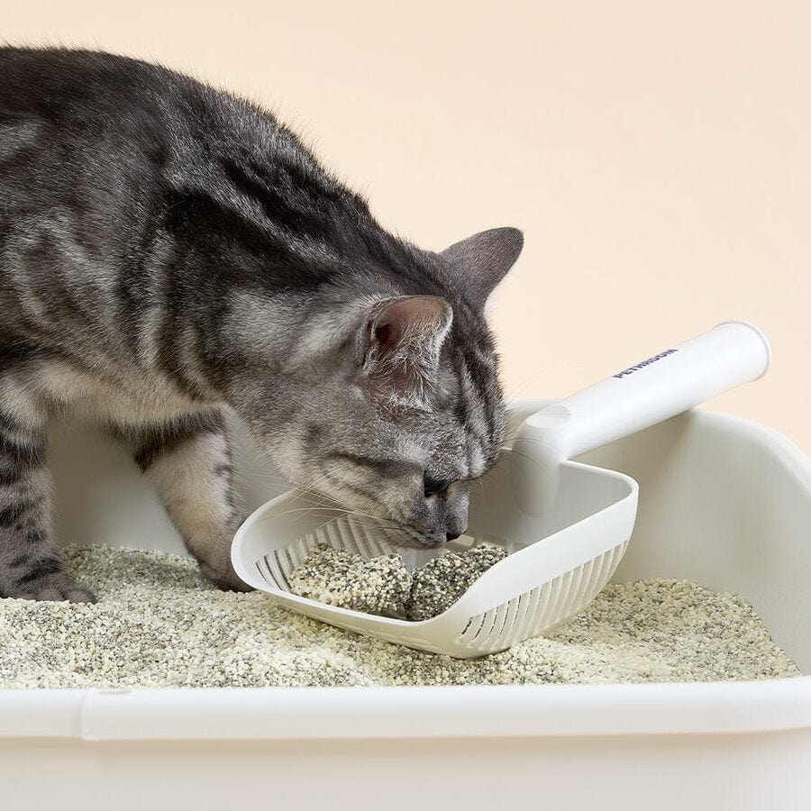 ペスルーム トイレ用品 ハイブリッドキャッサナイトC3B1 鉱物タイプ