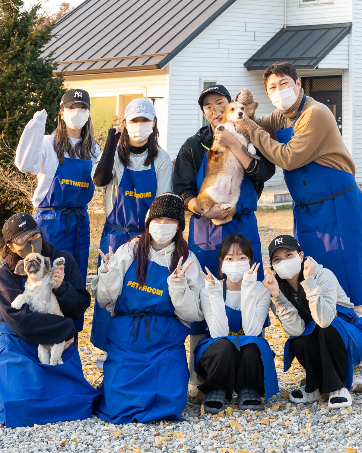 PETHROOM 1004 — 保護動物のための寄付・保護活動・ボランティア