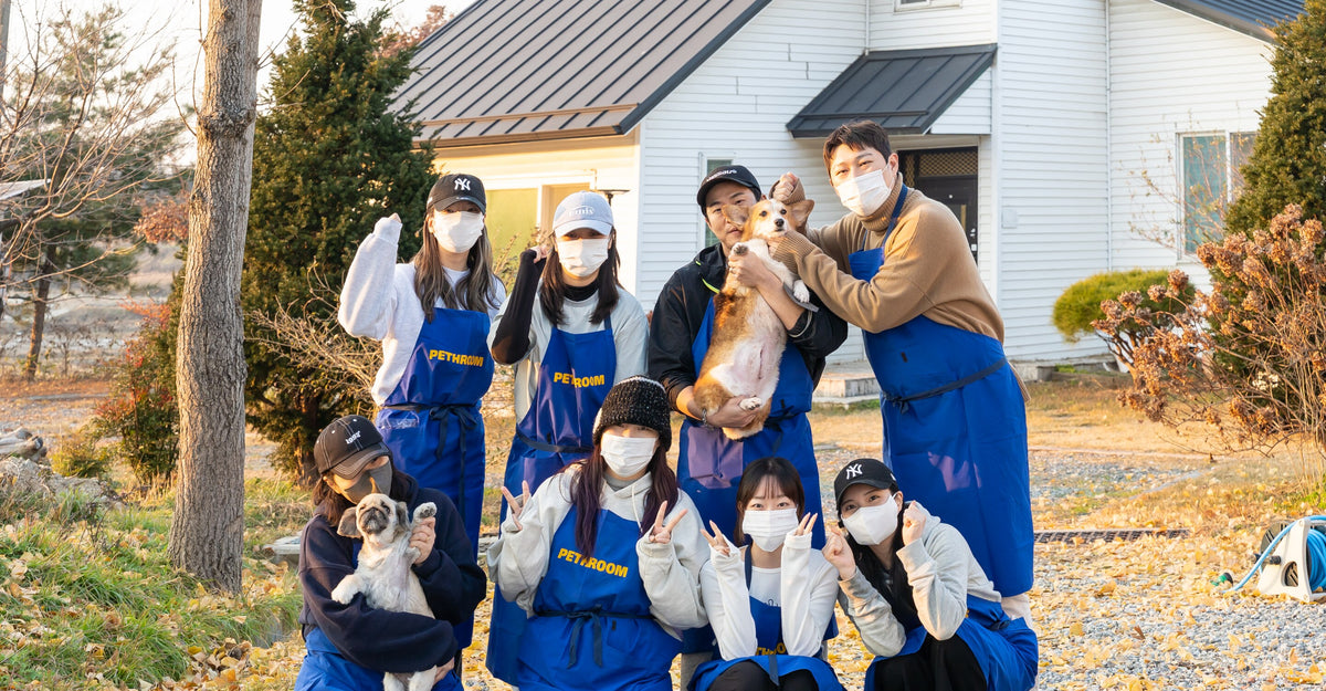 PETHROOM 1004 — 保護動物のための寄付・保護活動・ボランティア