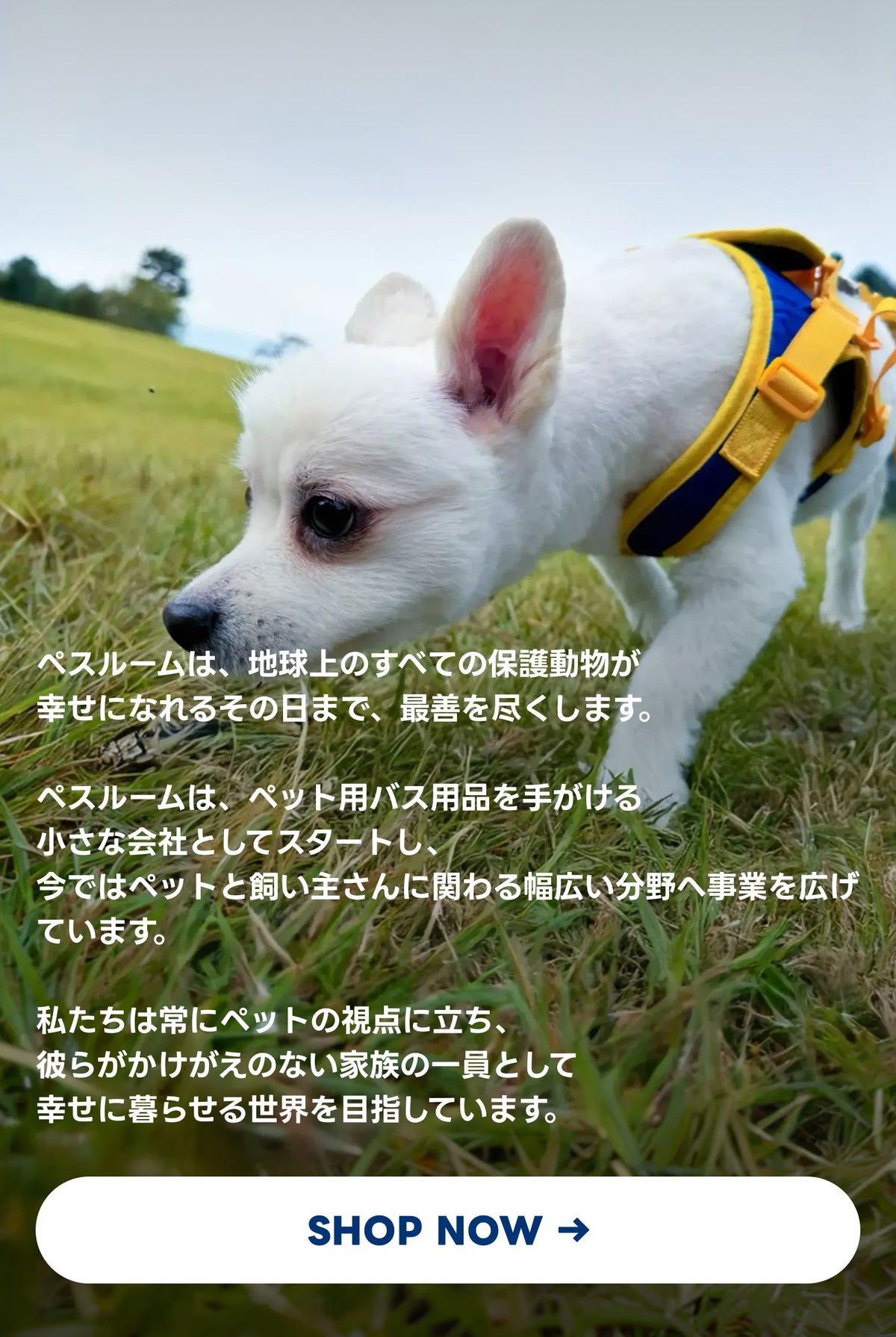 PETHROOM — THE JOURNEY WITH PETS